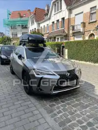 2021 Lexus UX250