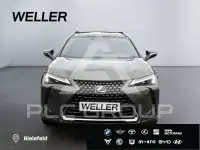 2021 Lexus UX250