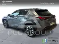 2021 Lexus UX250