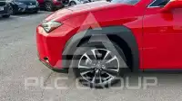 2021 Lexus UX250