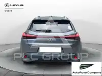2021 Lexus UX250