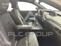 2021 Lexus UX250