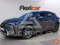 2021 Lexus UX250