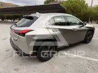 2021 Lexus UX250