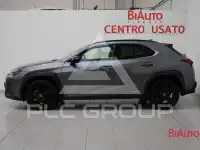 2021 Lexus UX250