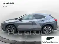 2021 Lexus UX250