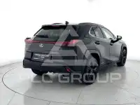 2021 Lexus UX250