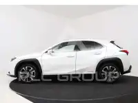 2021 Lexus UX250