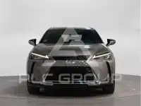 2021 Lexus UX250