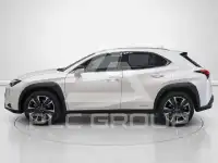 2021 Lexus UX250