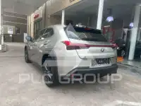 2021 Lexus UX250