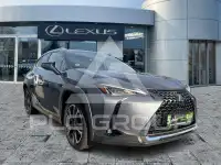 2021 Lexus UX250