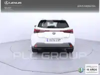 2021 Lexus UX250