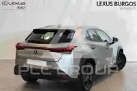 2021 Lexus UX200
