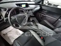 2021 Lexus UX250