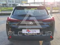2021 Lexus UX250