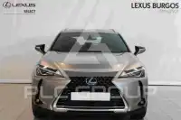 2021 Lexus UX200
