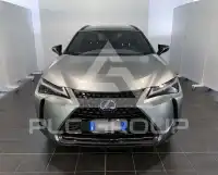 2021 Lexus UX250
