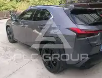 2021 Lexus UX250
