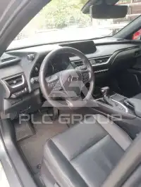 2021 Lexus UX250