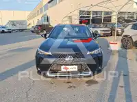 2021 Lexus UX250
