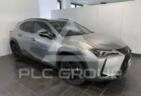 2021 Lexus UX250
