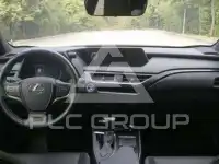 2021 Lexus UX250