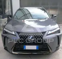 2021 Lexus UX250