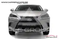 2021 Lexus NX300