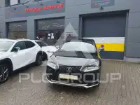 2021 Lexus NX300
