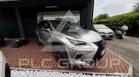 2021 Lexus NX300