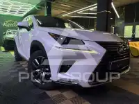 2021 Lexus NX300