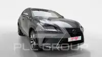 2021 Lexus NX300
