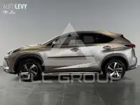 2021 Lexus NX300