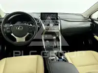 2021 Lexus NX300