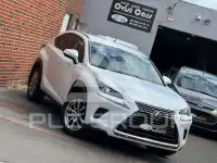 2021 Lexus NX300