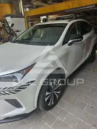 2021 Lexus NX300