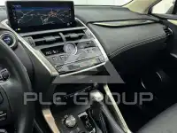 2021 Lexus NX300