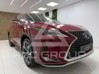 2021 Lexus RX450