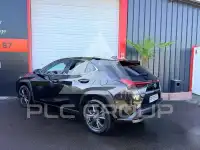 2021 Lexus Other