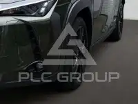2021 Lexus Other