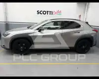 2021 Lexus UX250