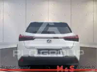 2021 Lexus Other