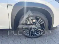2021 Lexus Other