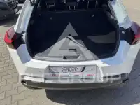 2021 Lexus Other