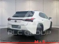 2021 Lexus Other