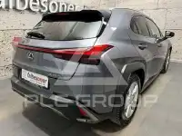 2021 Lexus Other