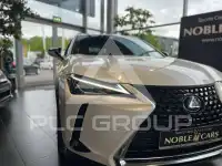 2021 Lexus Other