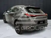 2021 Lexus Other