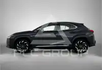 2021 Lexus UX
